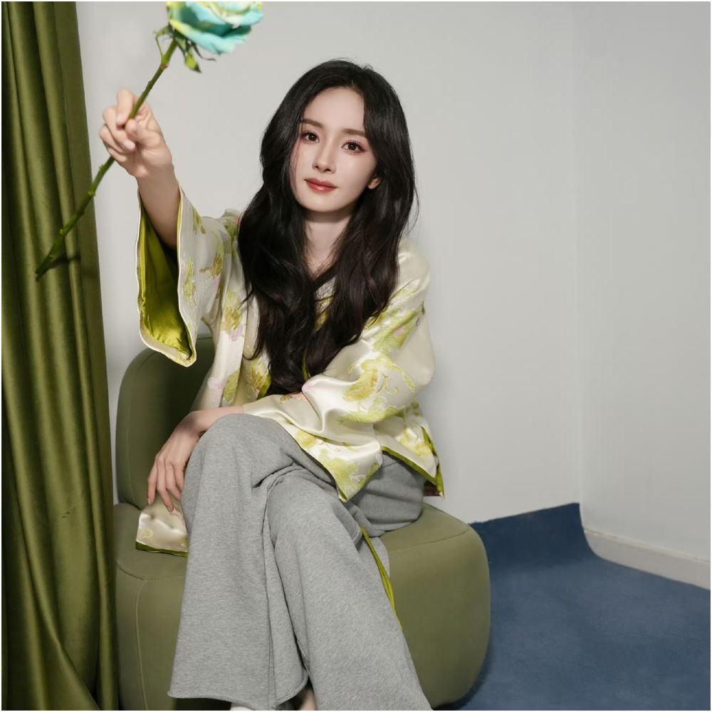 Yang Mi s new Chinese style silk jacket with long sleeves for women embossed jacquard Western style with mulberry silk light Chinese style top image 3