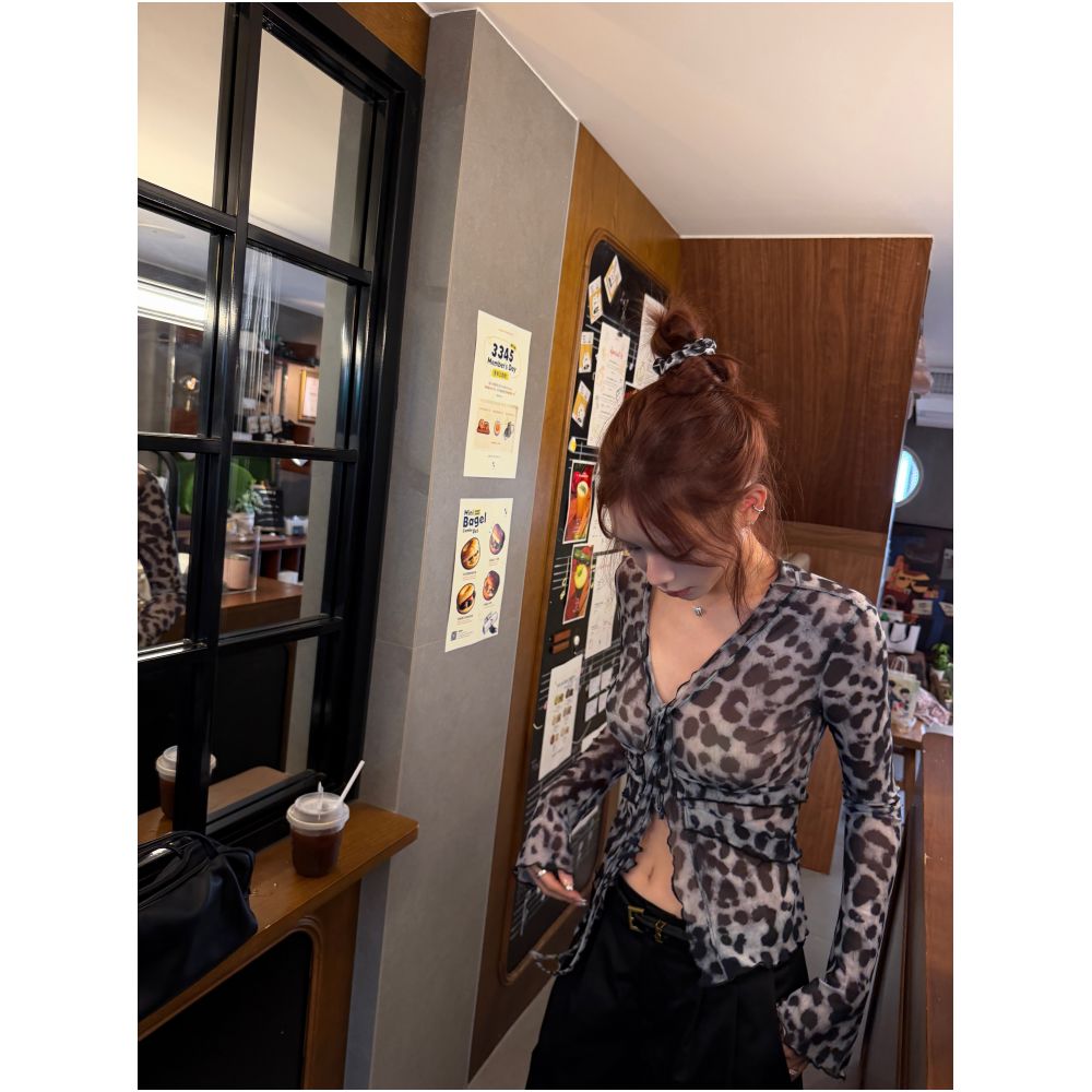 DailyDash s Leopard Aesthetics captivating onion lightweight sheer mesh tie front leopard print shirt V neck top image 3