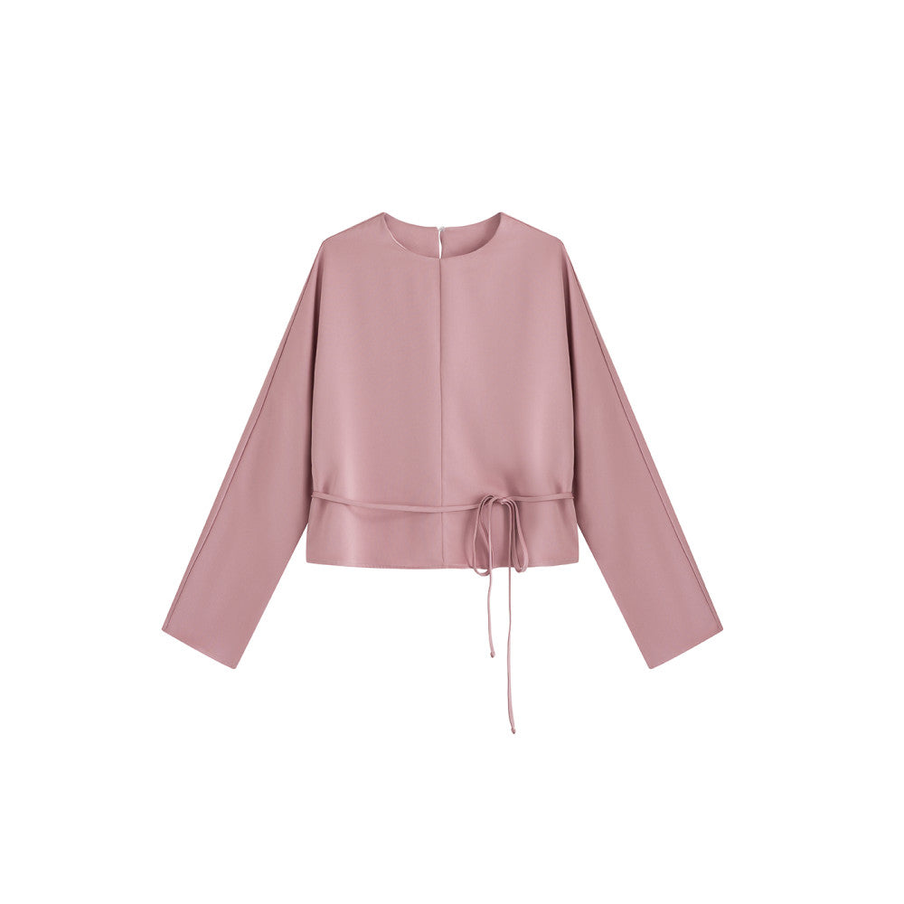 SOTHEMOS 25 Spring Fashionable Minimalist Row Style 2 Color Satin French Retro Design Long Sleeve Shirt image 7