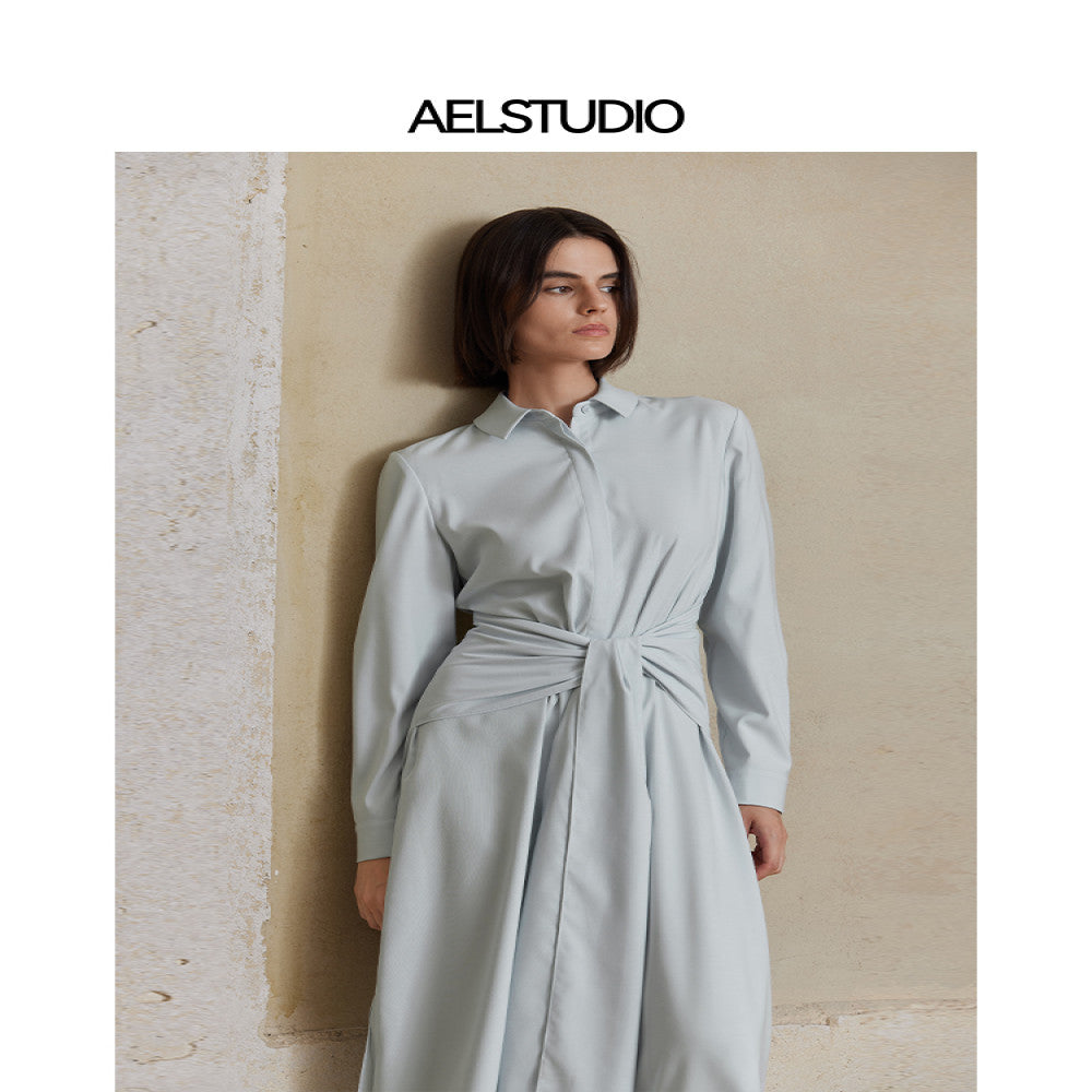 AEL original design simple French dress female 2025 new commuter style temperament waist shirt dress image 2