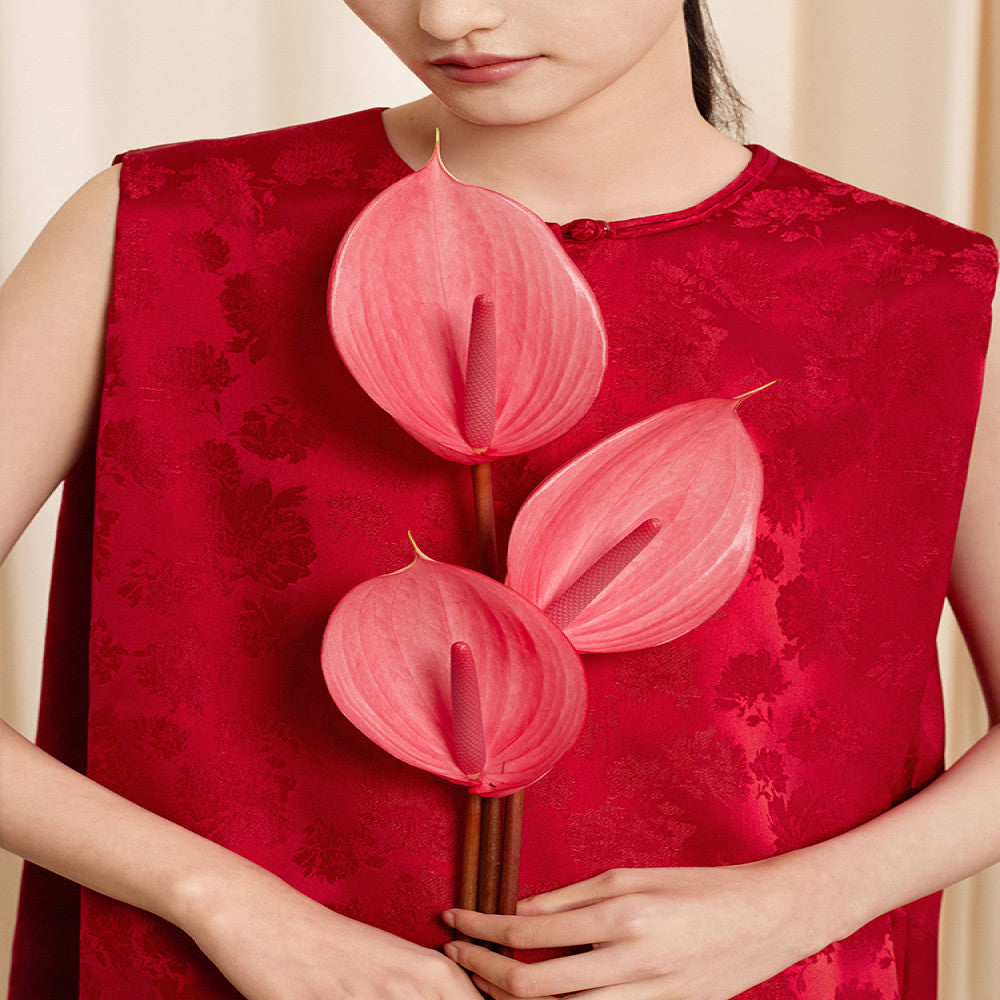 Ruyi Lianyun spring and autumn new jacquard sleeveless retro new Chinese style dress female buttoned national style short skirt image 1