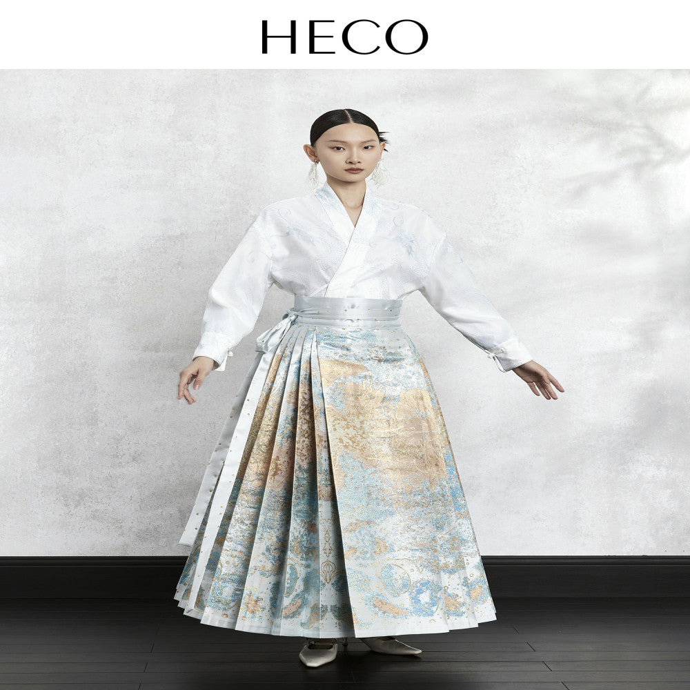 HECO Nebula Fantasy New Chinese style woven gold jacquard horse face skirt 2025 new style temperament high end half skirt image 28