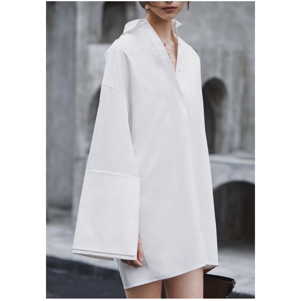AEL Original New Shirt Women s Design Sense Niche Dress Loose Long Shirt Autumn 2025 New Style image 0