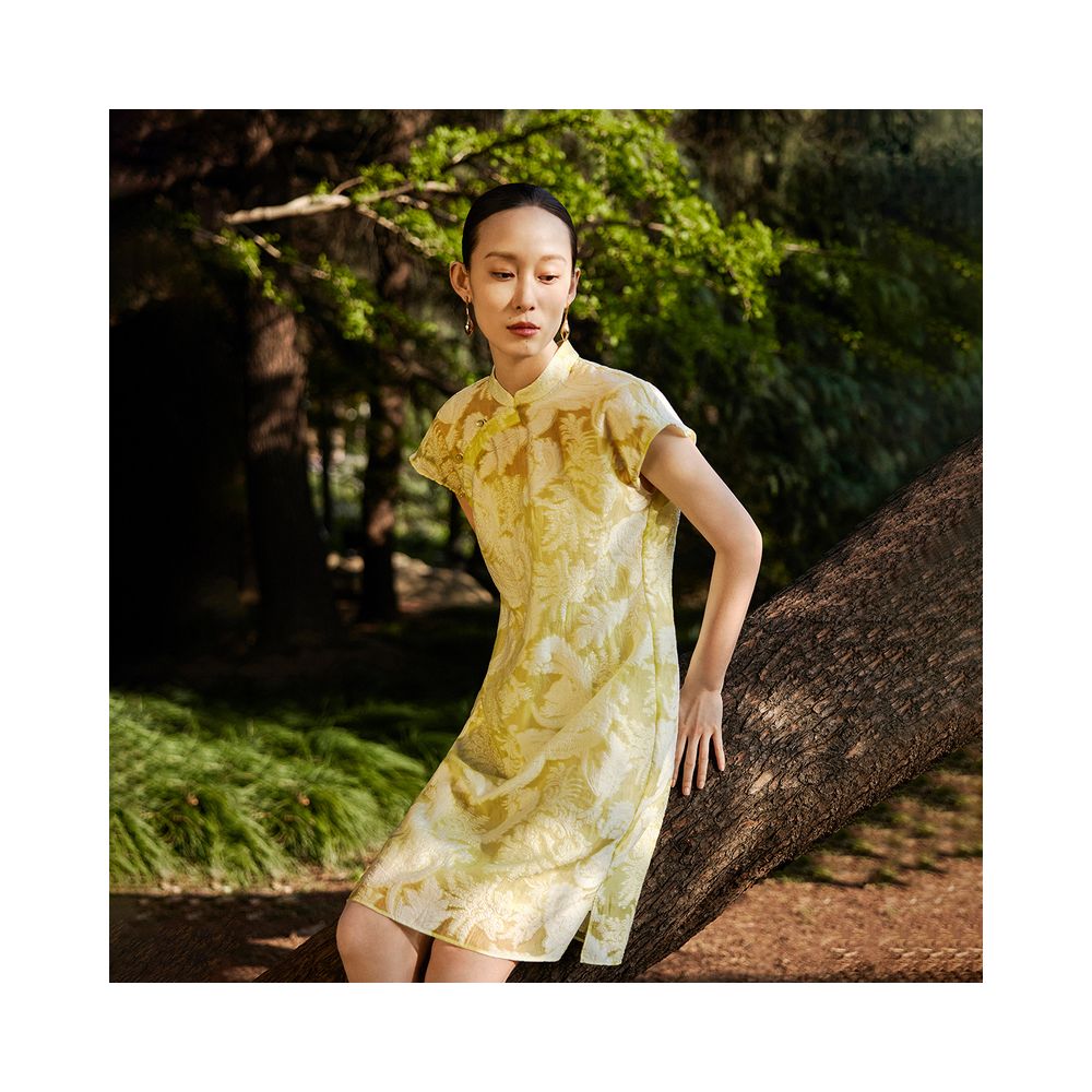 Naivee New Chinese H shaped Jacquard Improved Cheongsam for Banquet Light Dress Women image 2