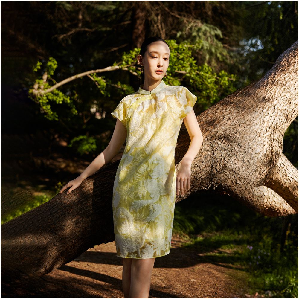 Naivee New Chinese H shaped Jacquard Improved Cheongsam for Banquet Light Dress Women image 4